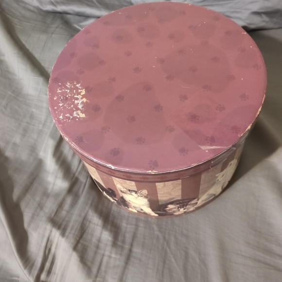 Kitty City Revelations Box with Tray inserts Lid  7.5x5in Round Box - Picture 4 of 7